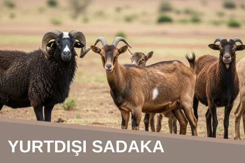 Yurtdışı Kurban (Sadaka)